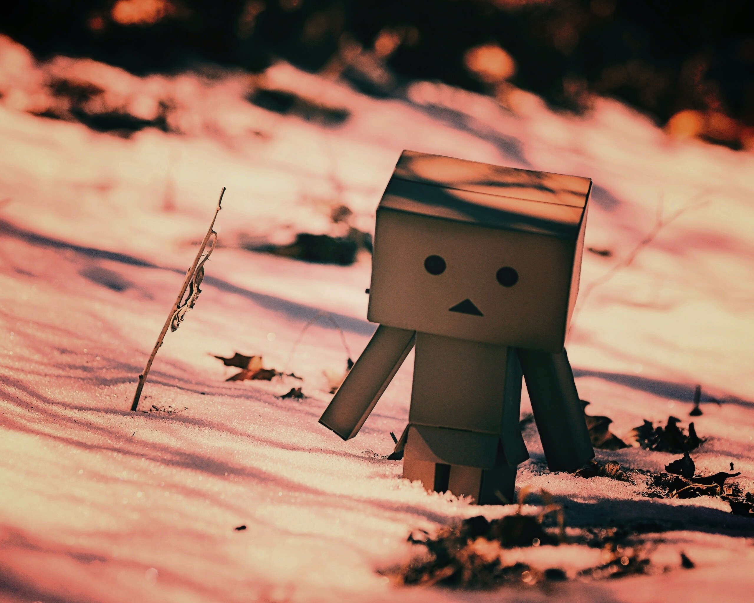 Данбо зиомой обои