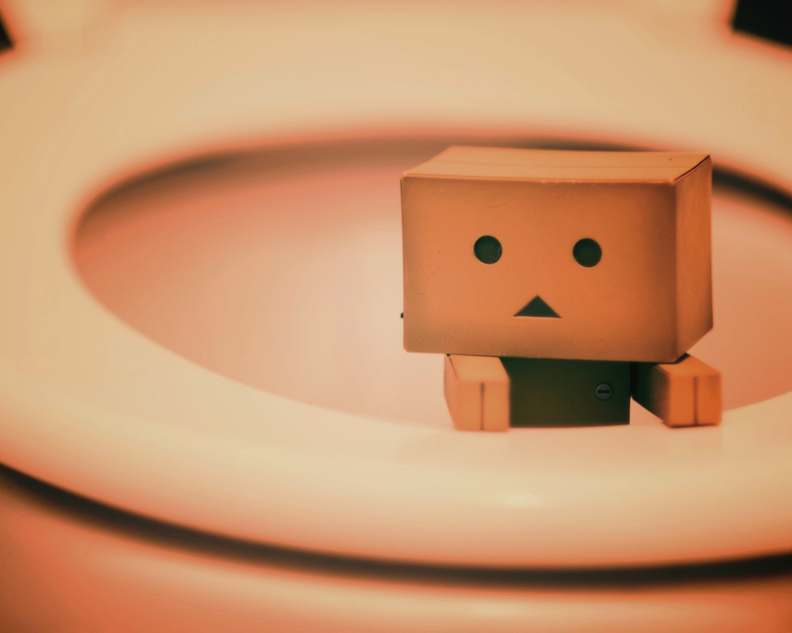 Danbo в унитазе обои