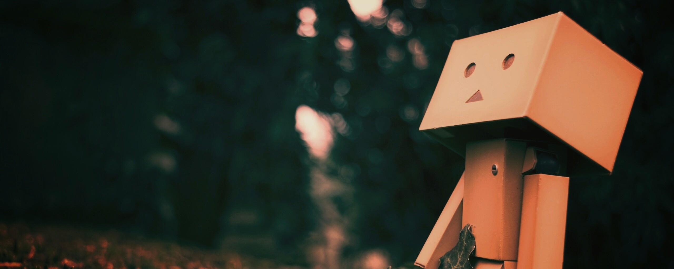 Danbo смотрит вверх обои