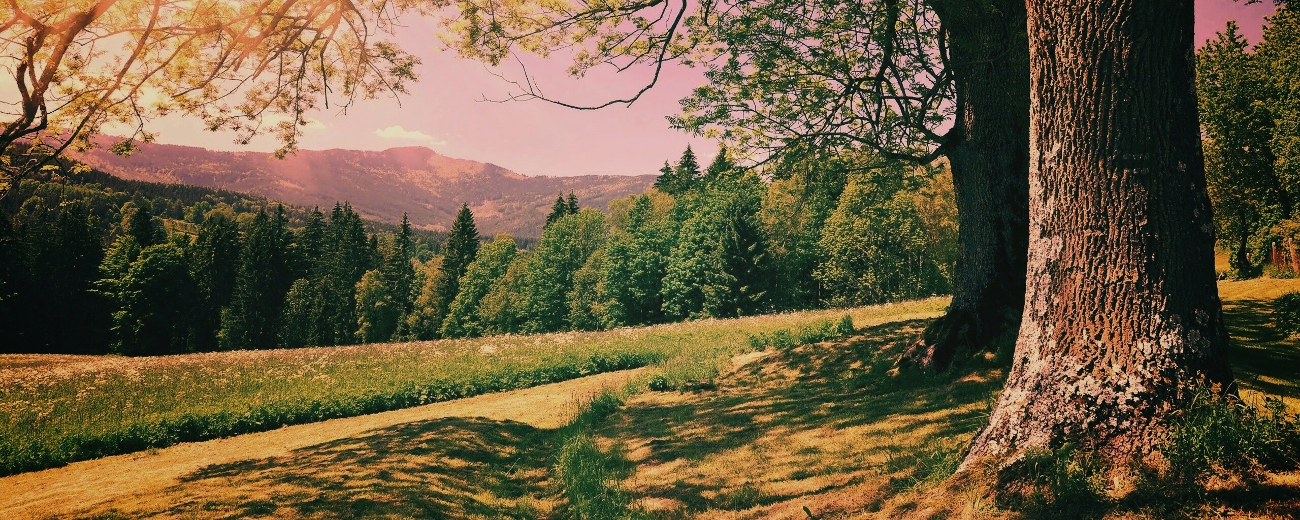 Лето в деревне обои