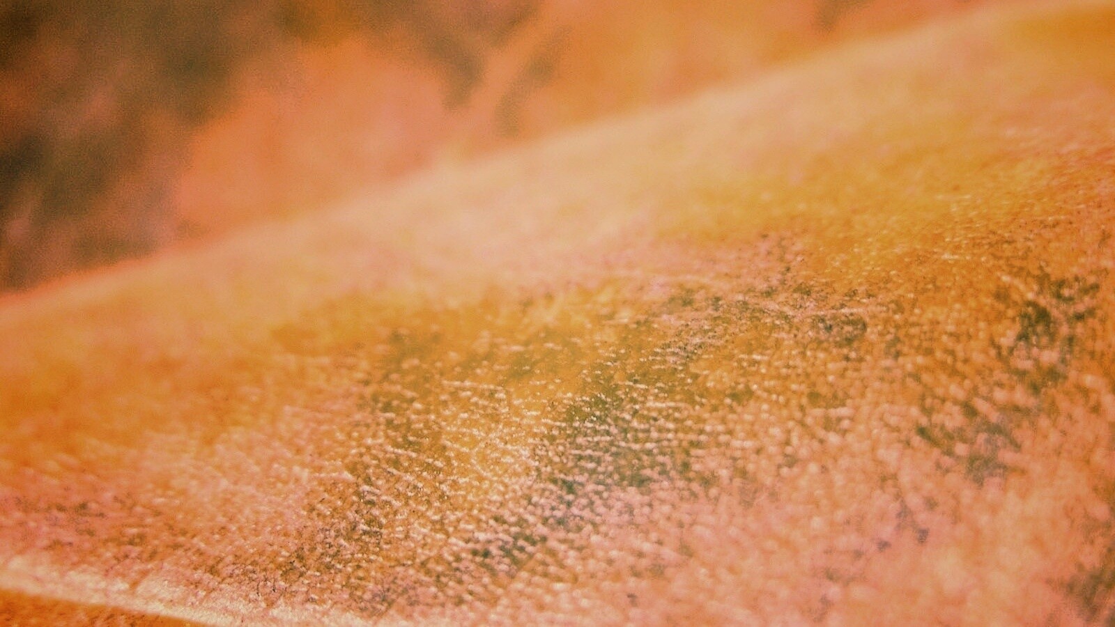 Повехность листа обои