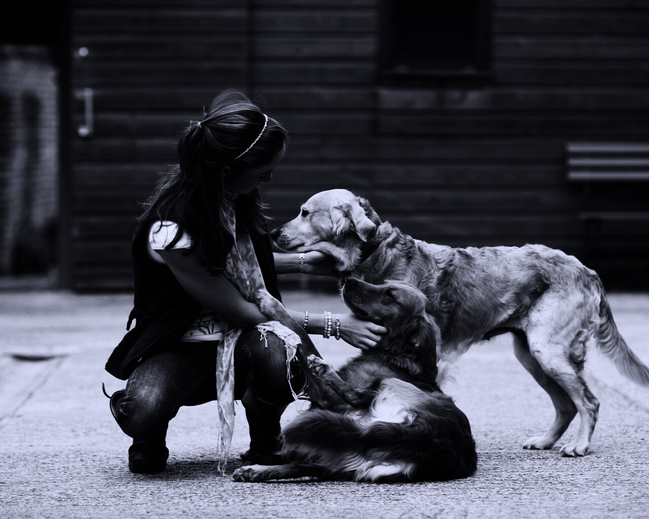 Девушка с собакой черно белое