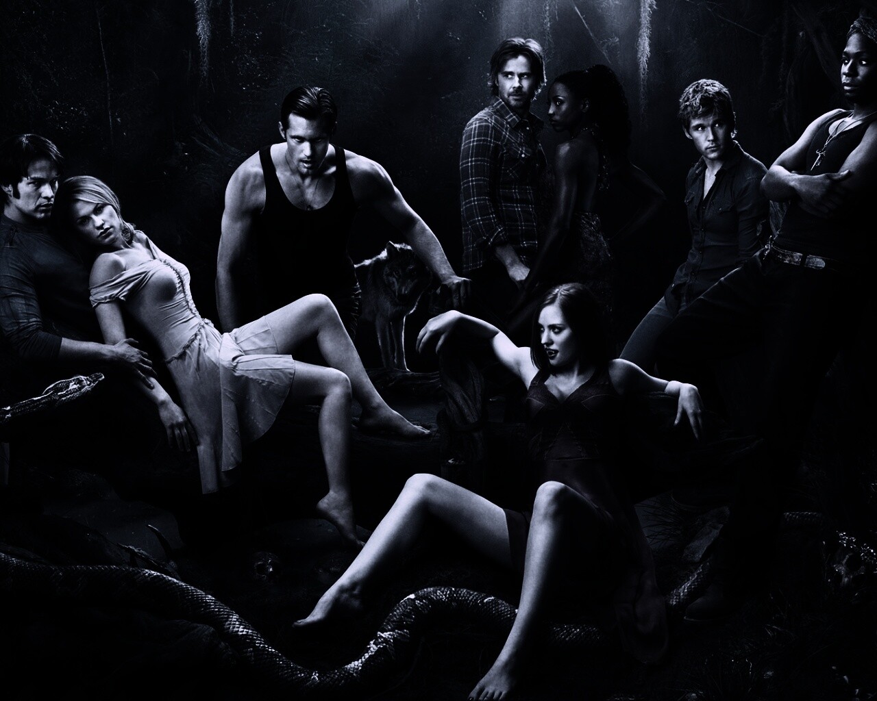 True blood обои