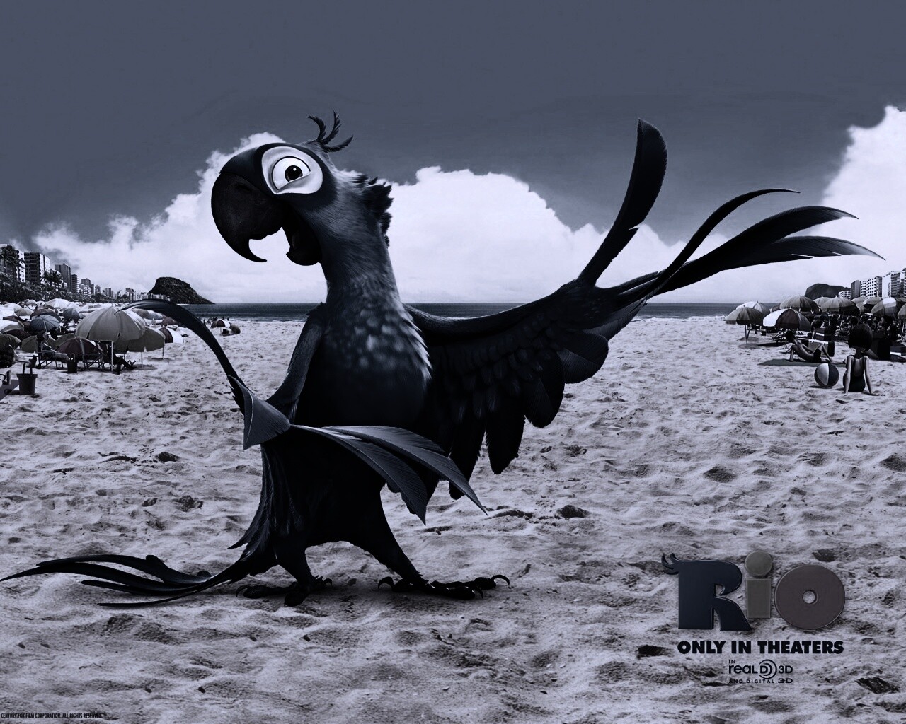 Blu из Rio обои