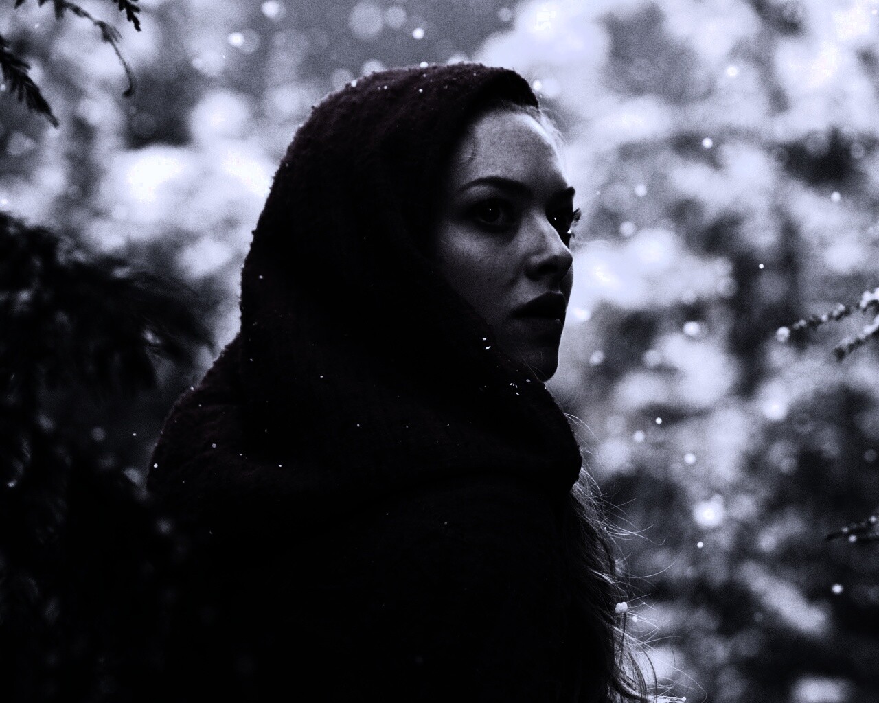 Amanda Seyfried in Red Riding Hood обои