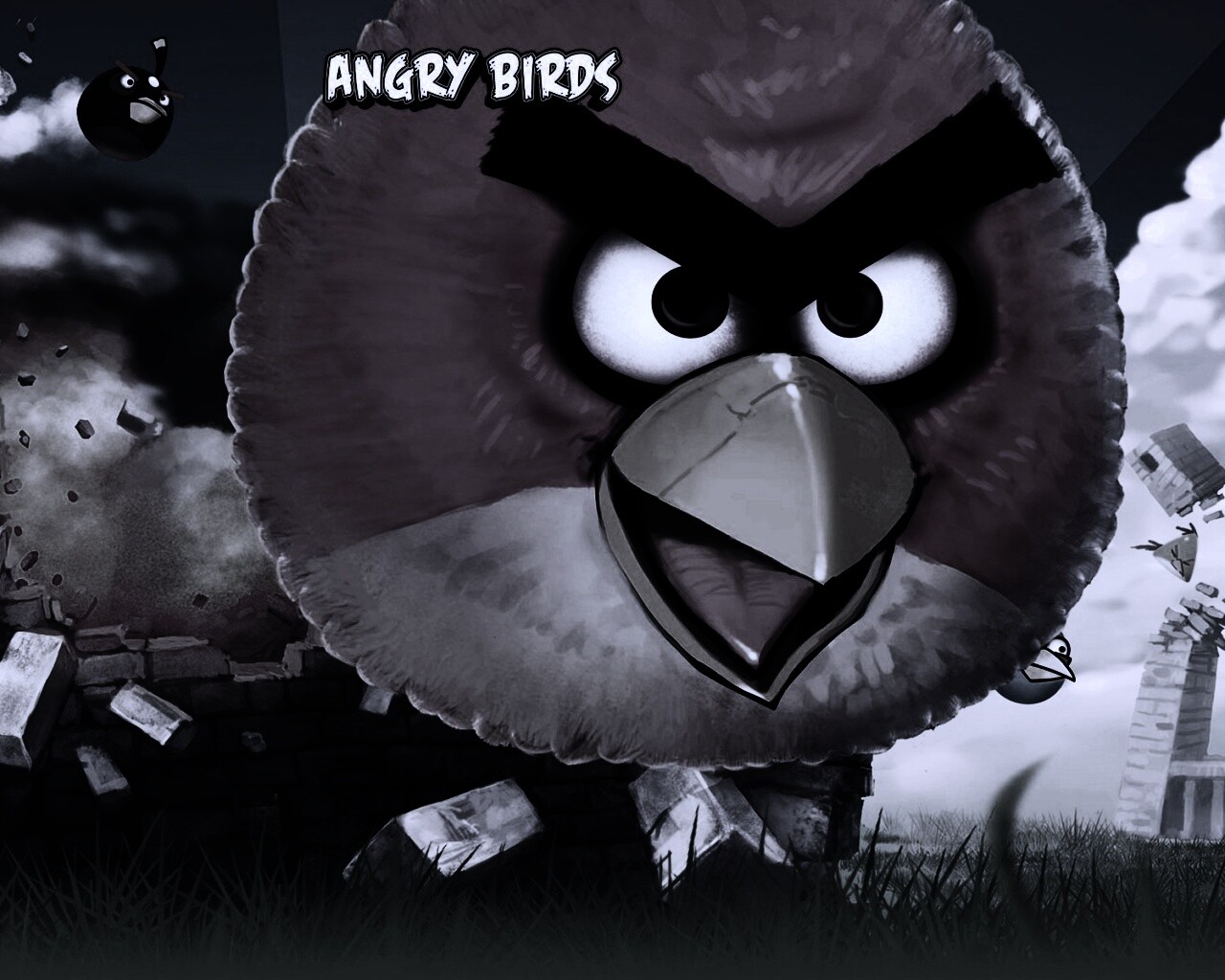 Angry Birds обои