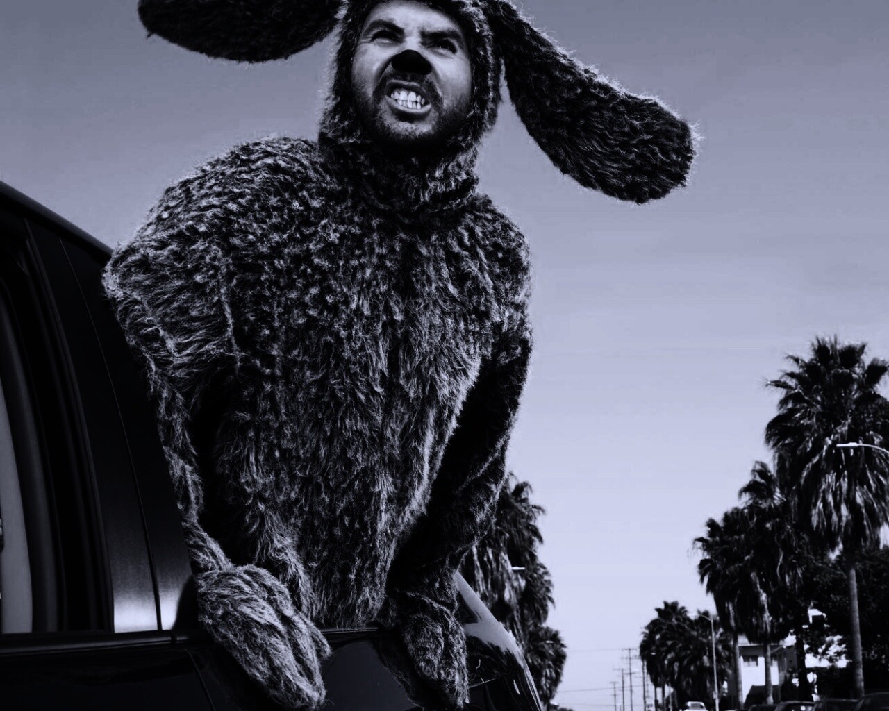 Wilfred обои