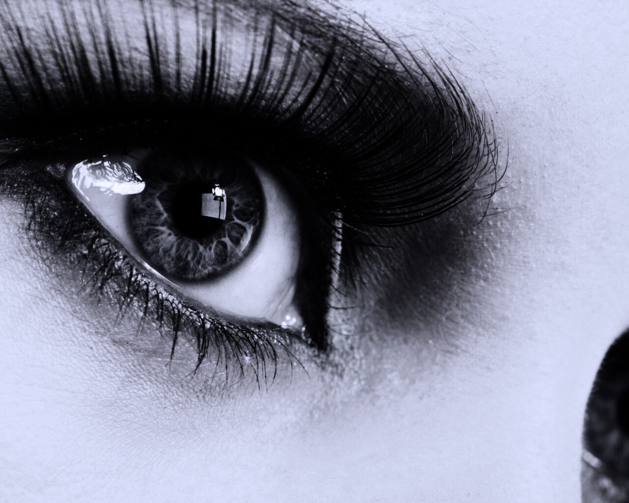 Глаза цвета стали обои