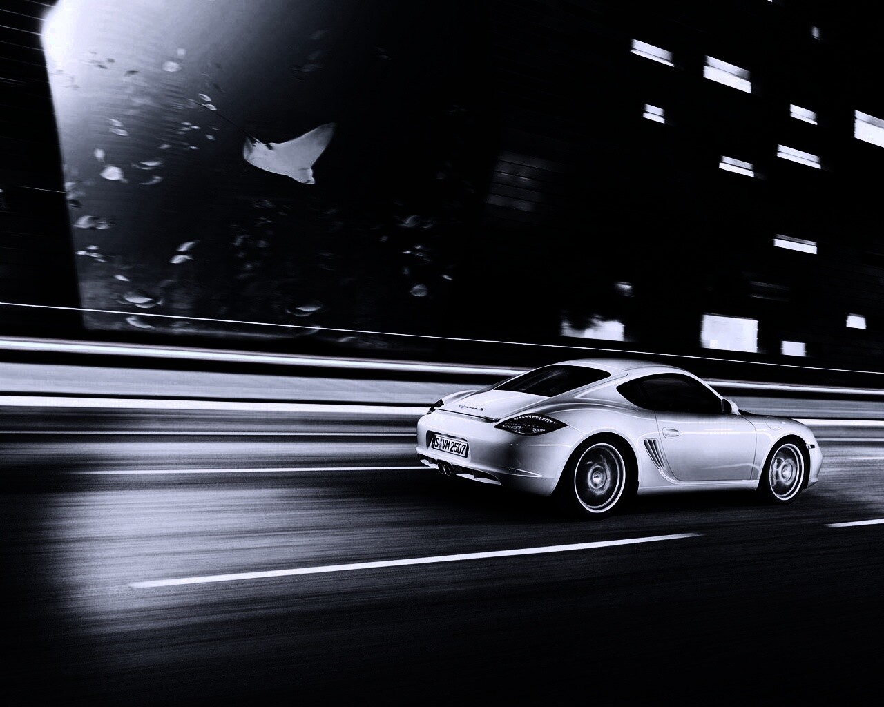 Porsche на трассе обои