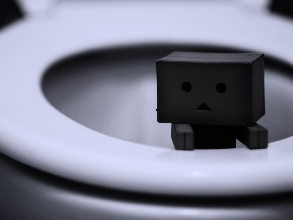 Danbo в унитазе обои
