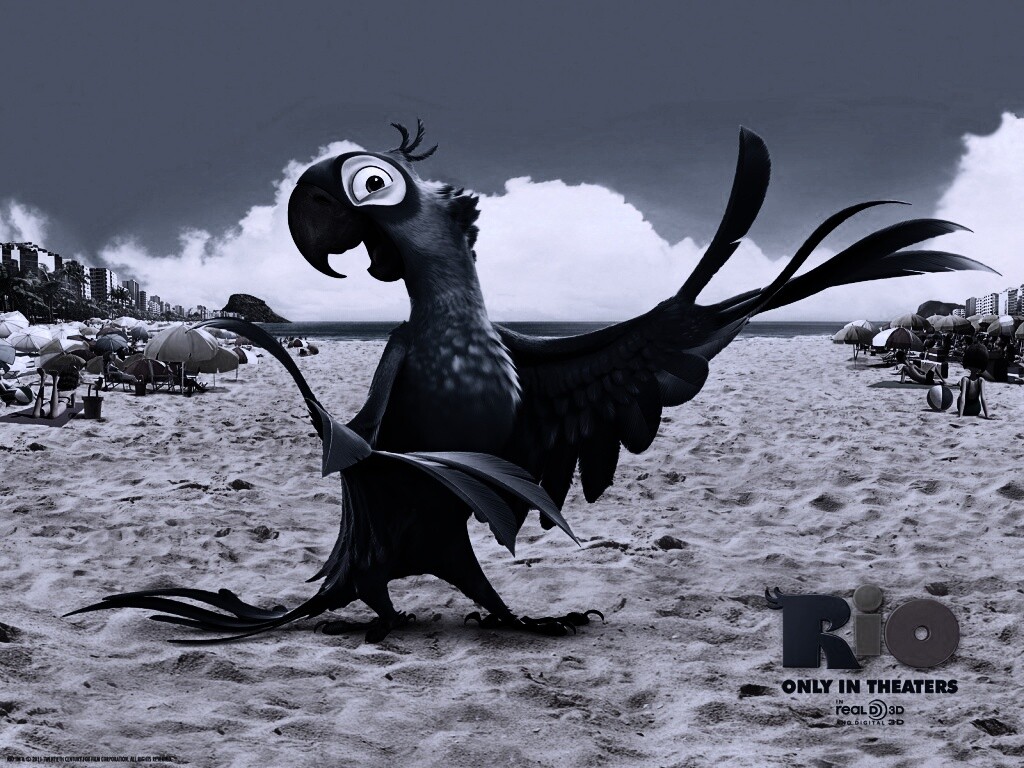 Blu из Rio обои