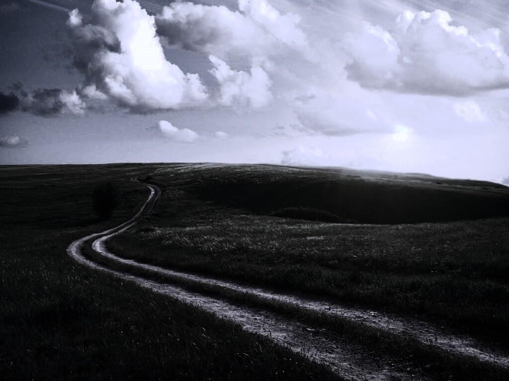 Дорога через луг обои