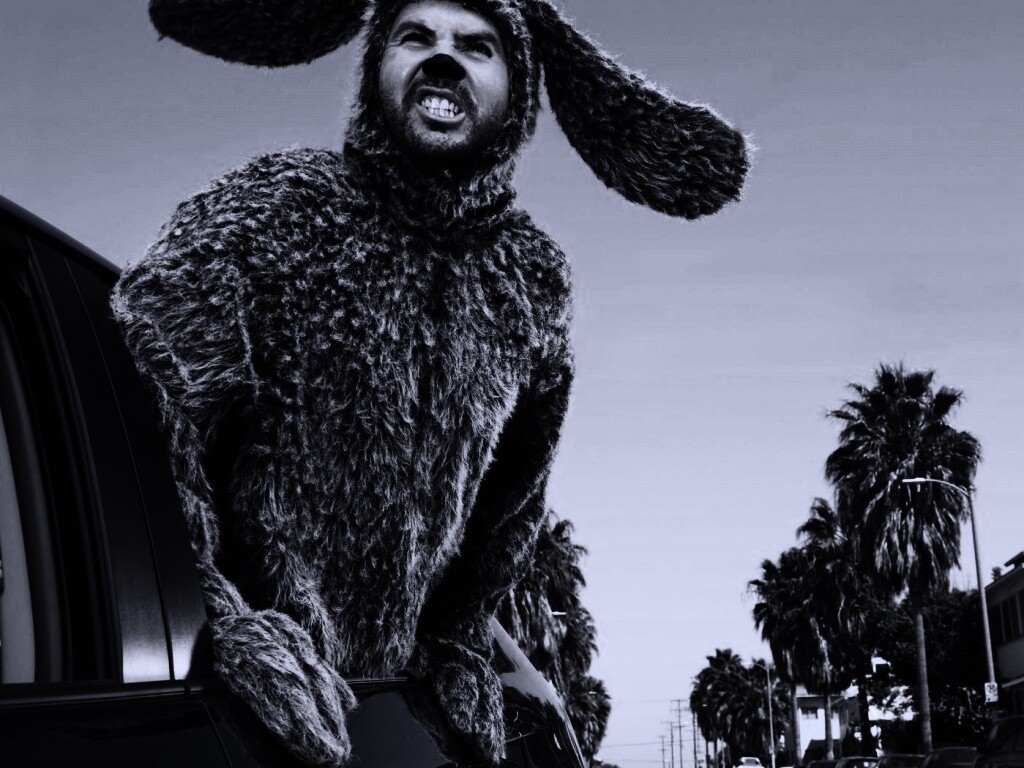 Wilfred обои