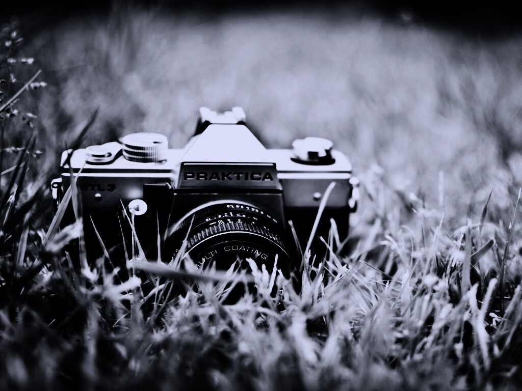 Фотоаппарат Praktica в траве обои