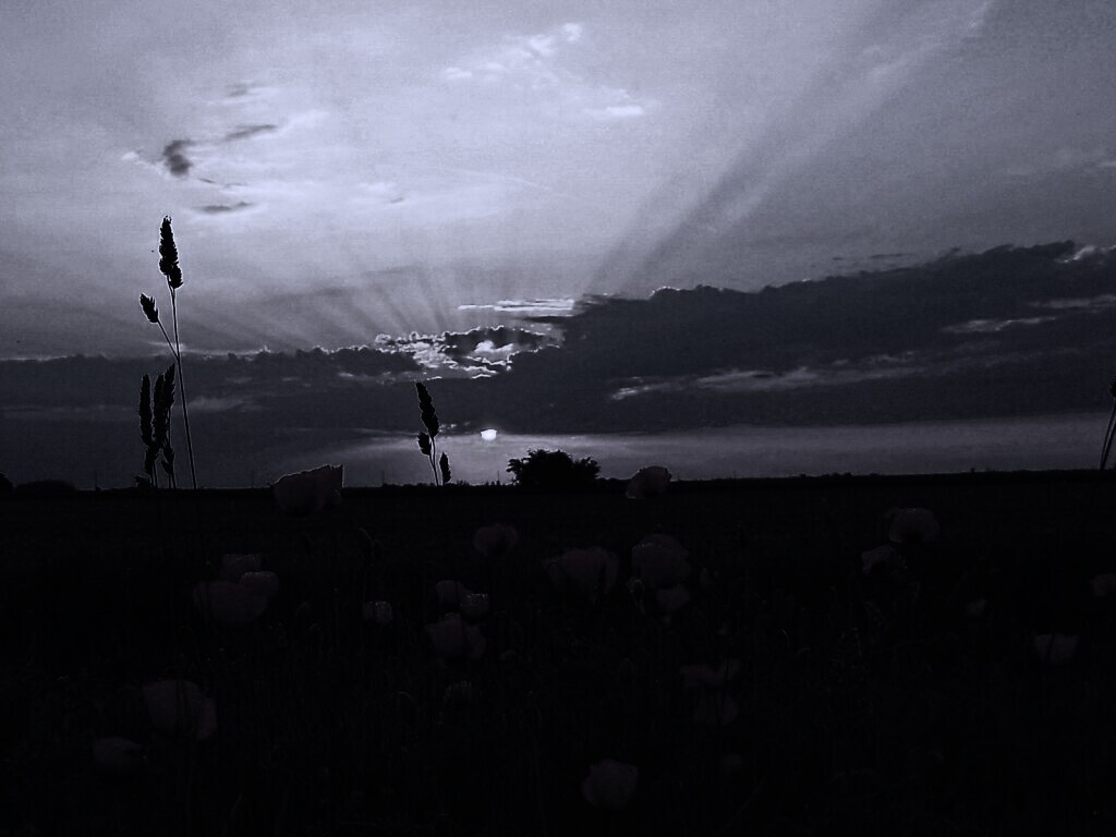 Закат обои