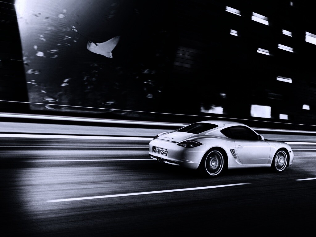 Porsche на трассе обои