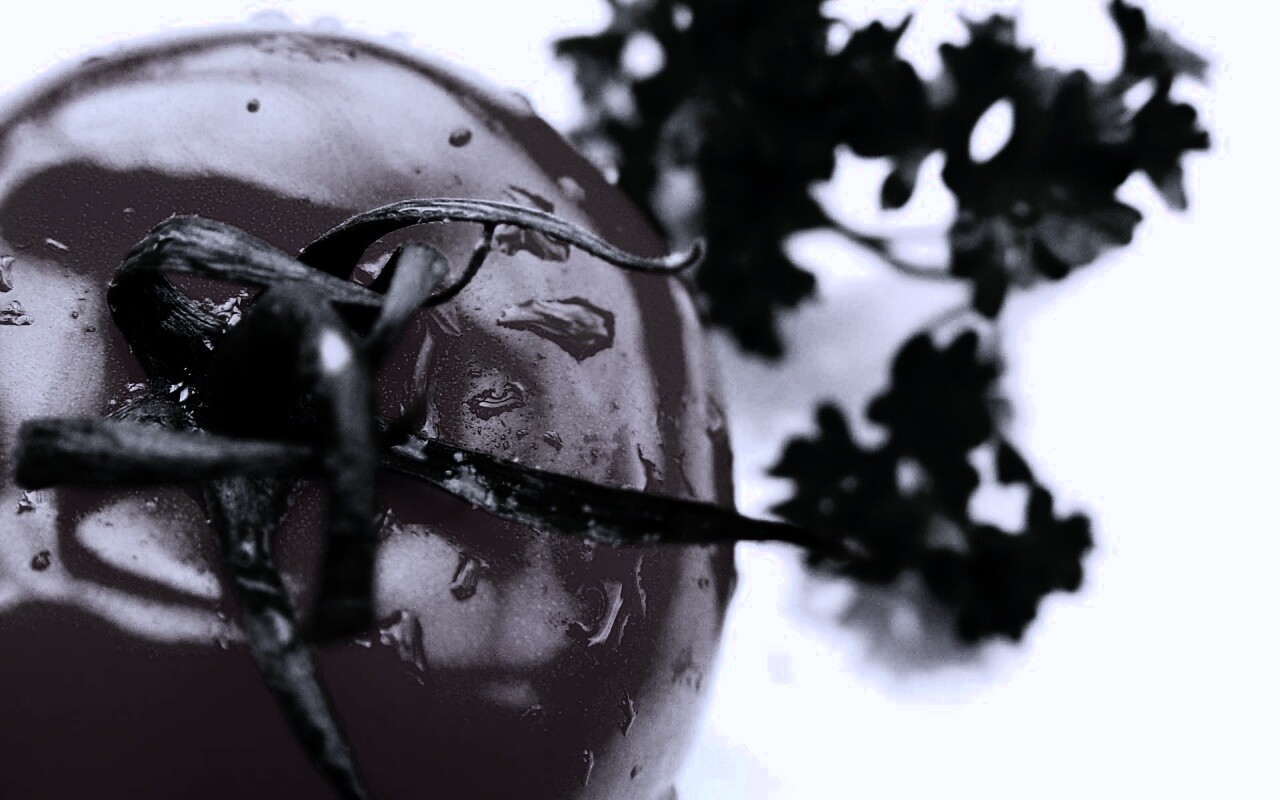 Свежая помидорка обои