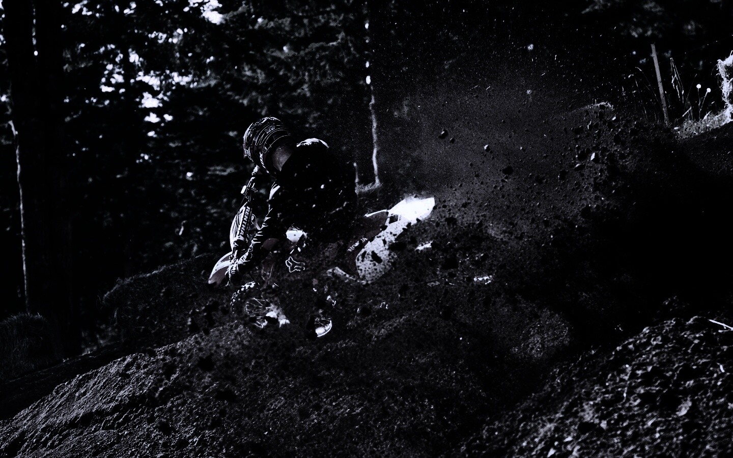 Моторалли обои