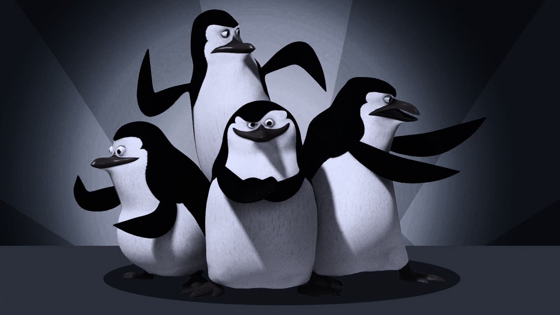 Пингвины 1920х1080
