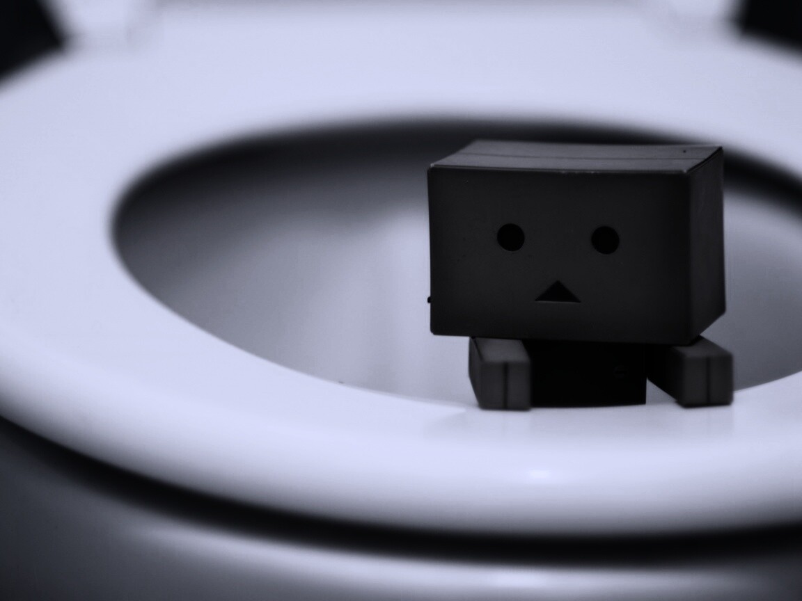 Danbo в унитазе обои