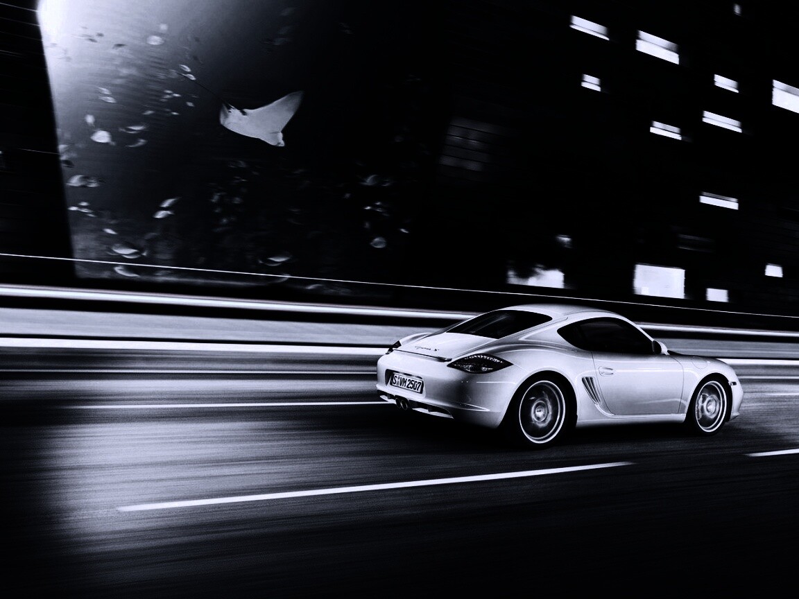 Porsche на трассе обои