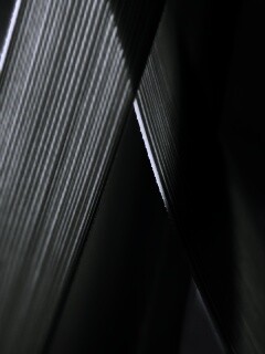 Травинки на свету обои