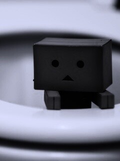 Danbo в унитазе обои