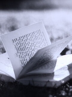 Книга в нежном свете обои