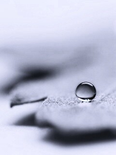 Капля на замёрзжем листе обои