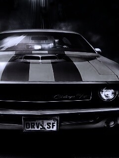 Driver San Francisco Challenger обои