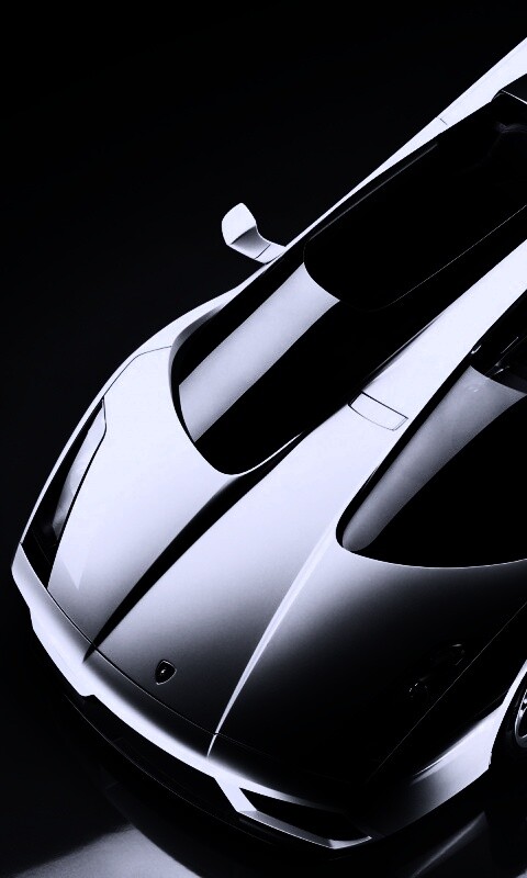 Светло-серый Lamborghini обои