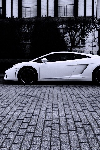 Белый Lamborghini обои