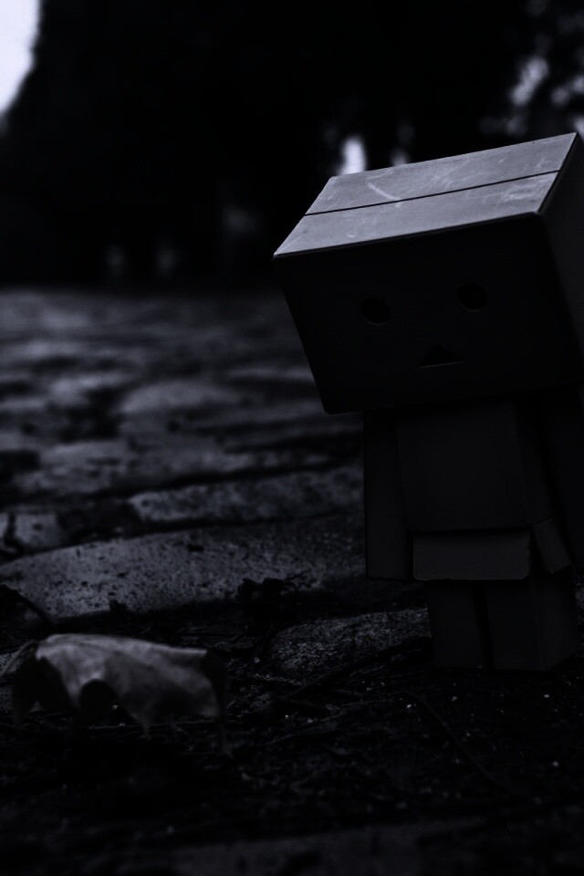 Danbo и первый осенний лист обои