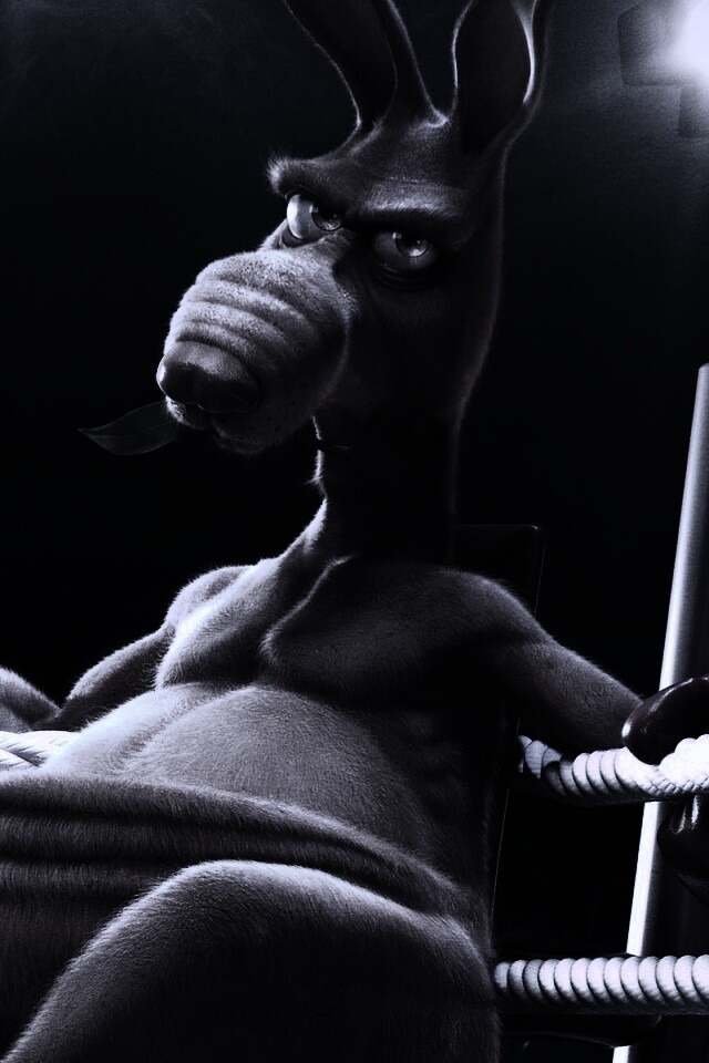 Кенгуру-боксер на ринге обои