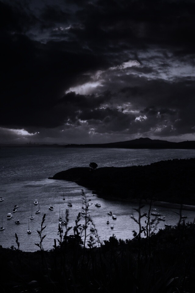 Waiheke Island, New Zealand обои