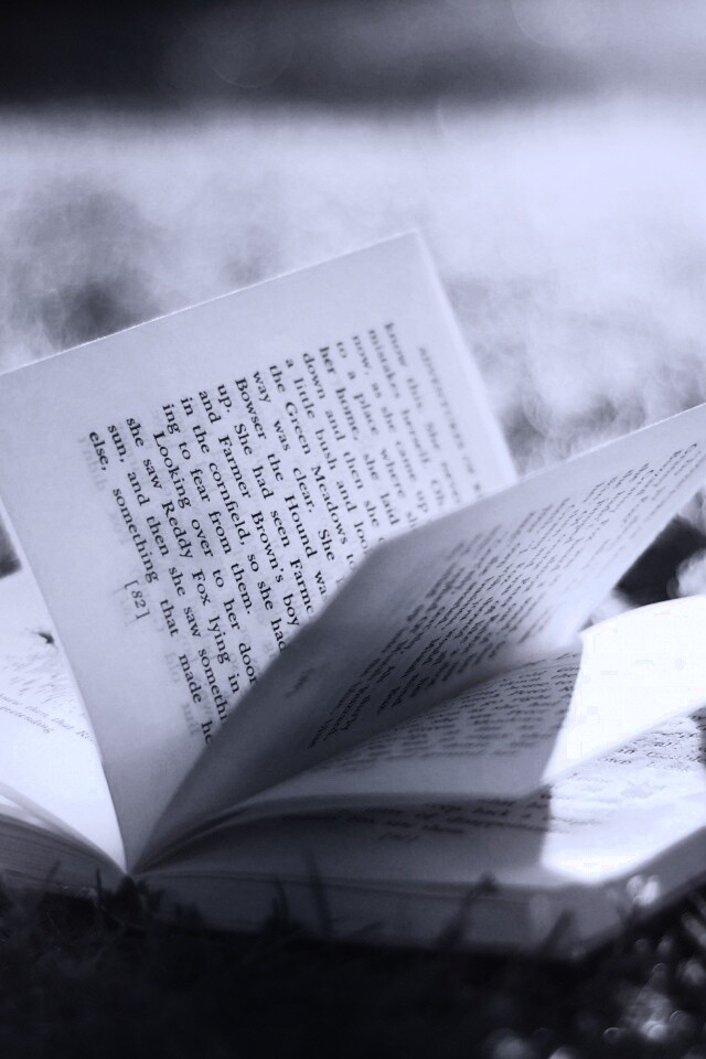 Книга в нежном свете обои