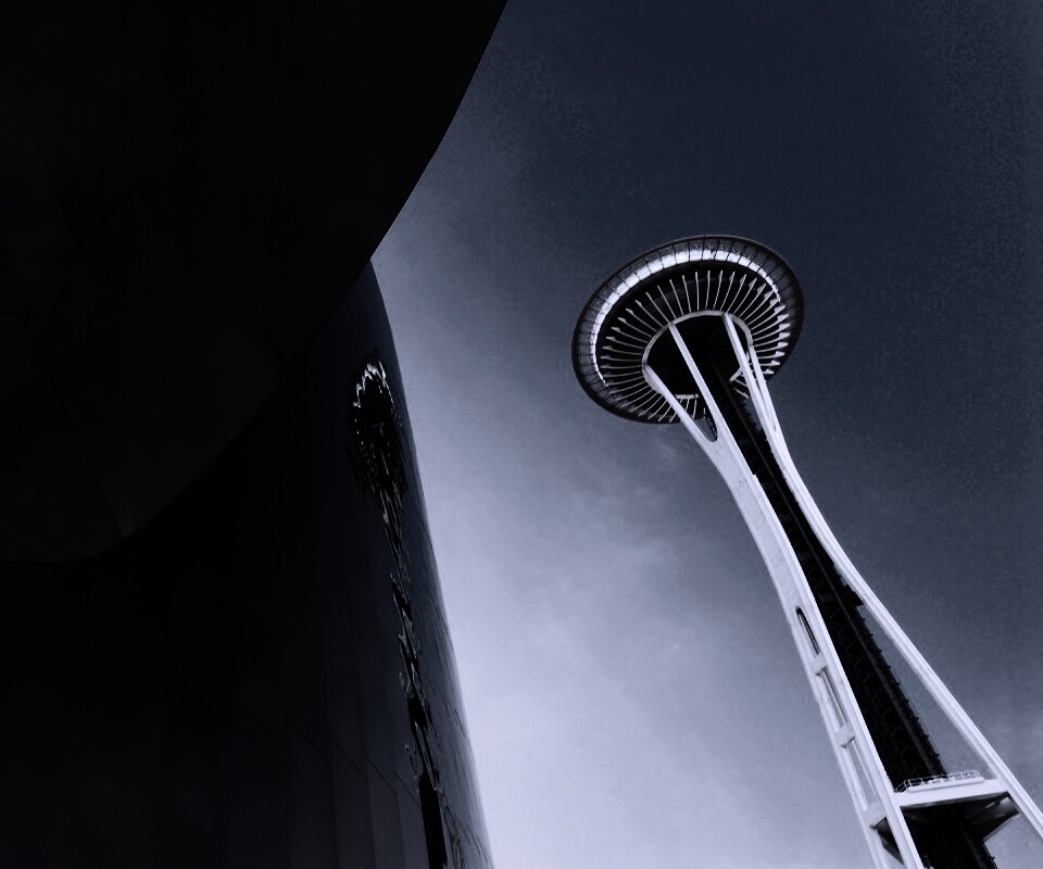 Space Needle Tower обои