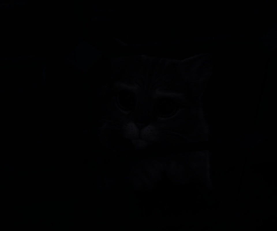 Кот в сапогах обои