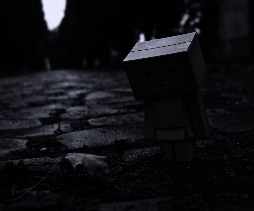 Danbo и первый осенний лист обои