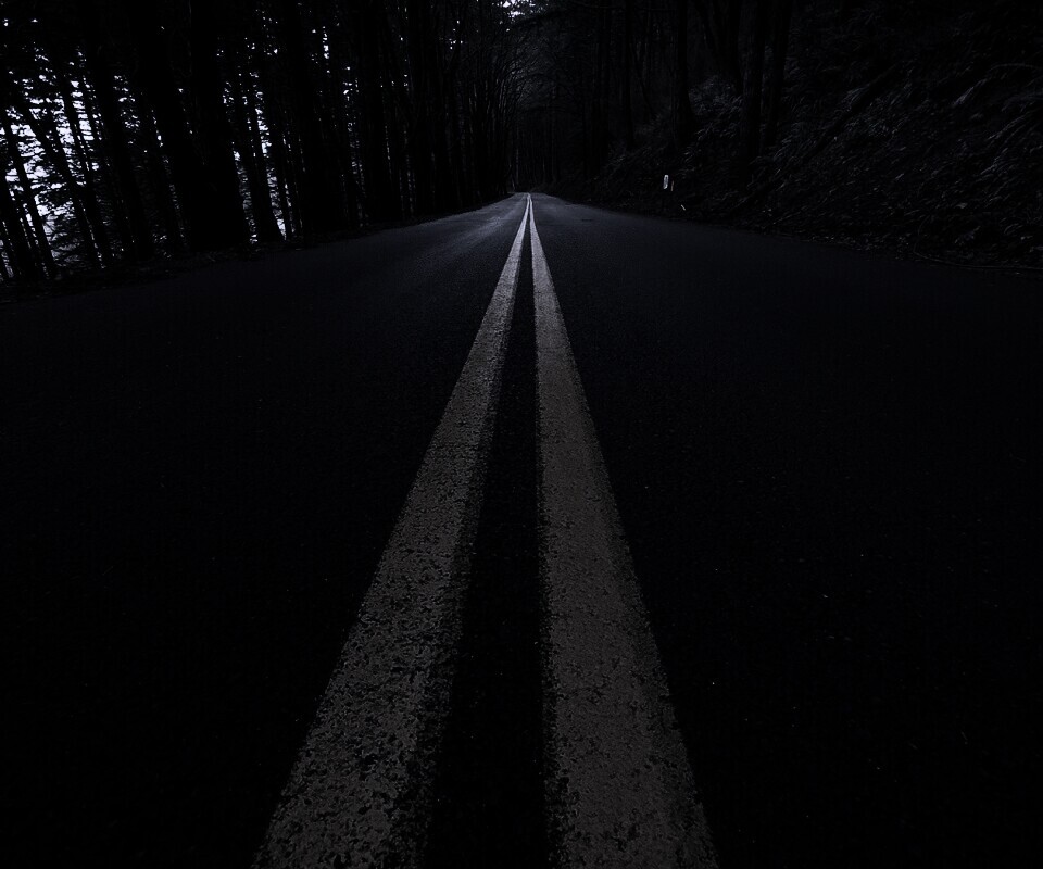 Дорога в лесу обои
