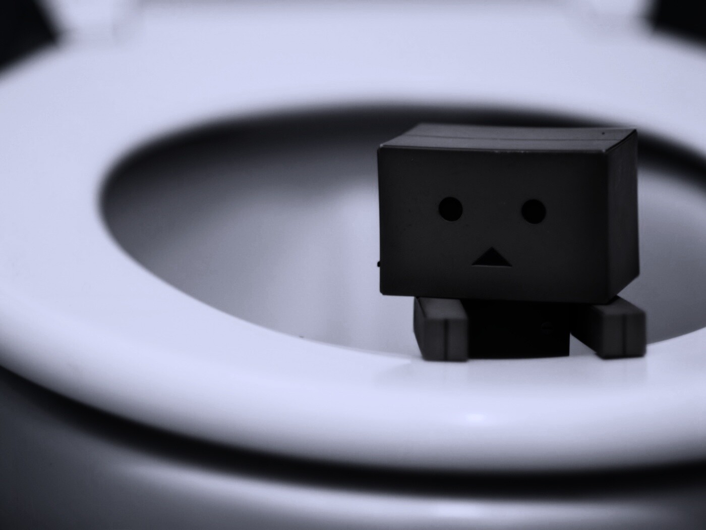 Danbo в унитазе обои