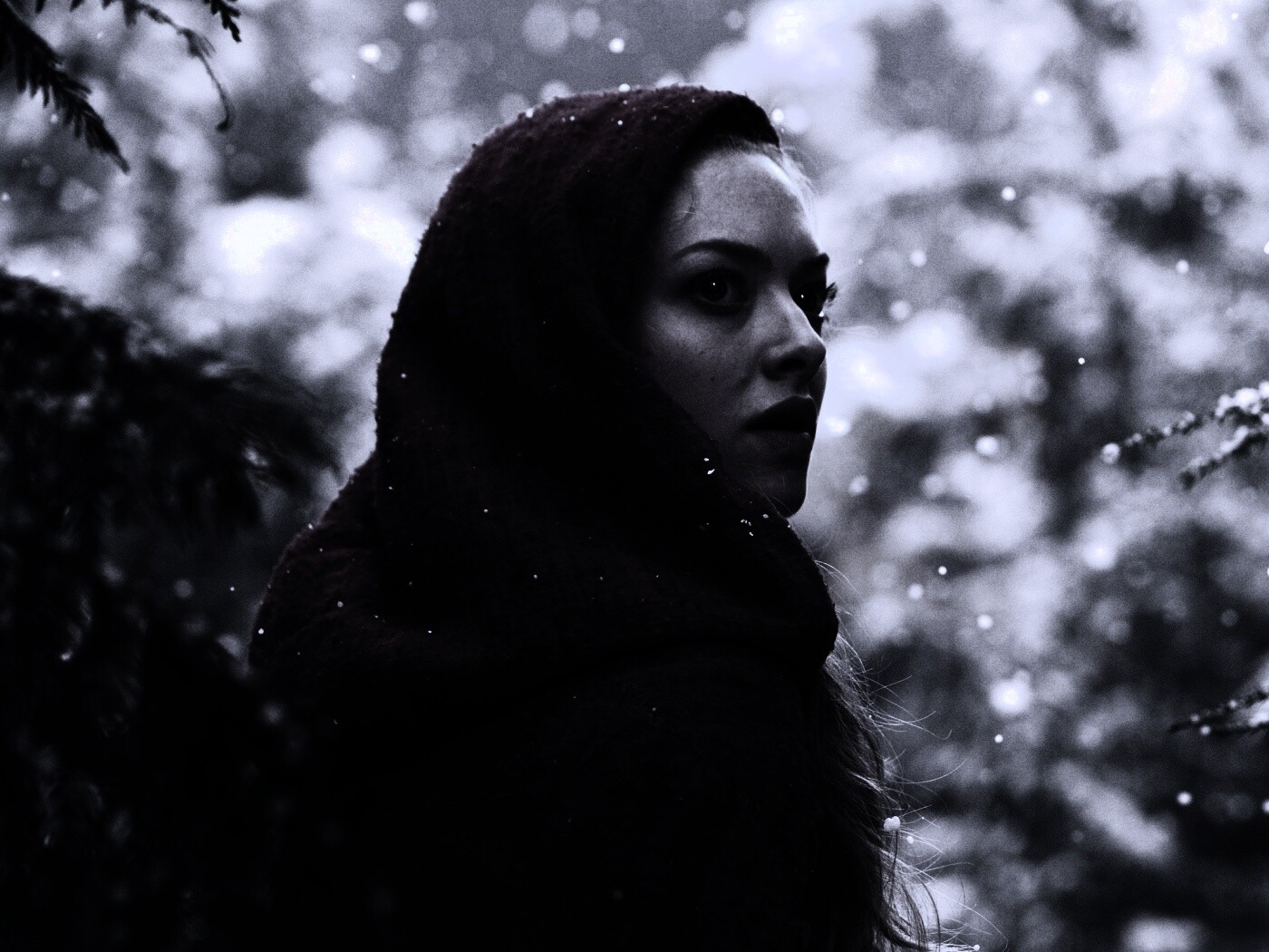 Amanda Seyfried in Red Riding Hood обои