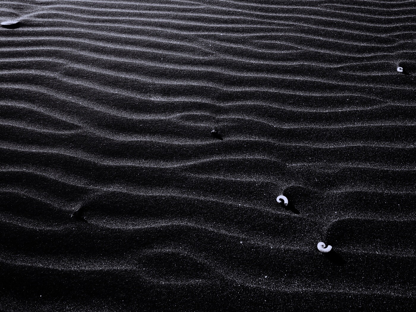 Темный песок