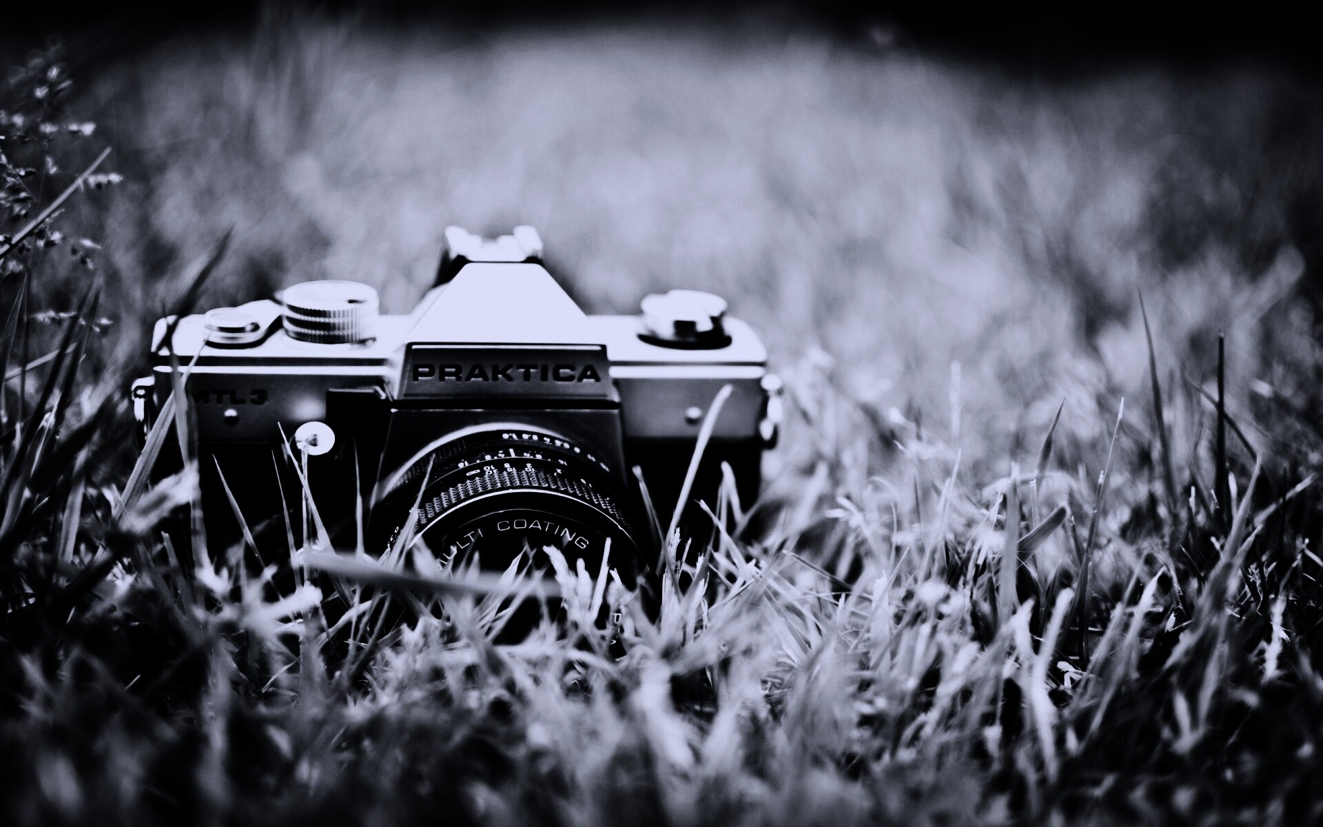 Фотоаппарат Praktica в траве обои