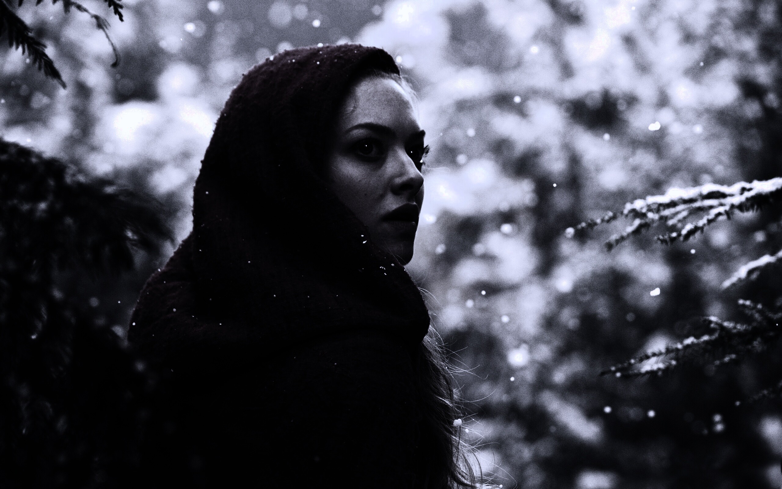 Amanda Seyfried in Red Riding Hood обои