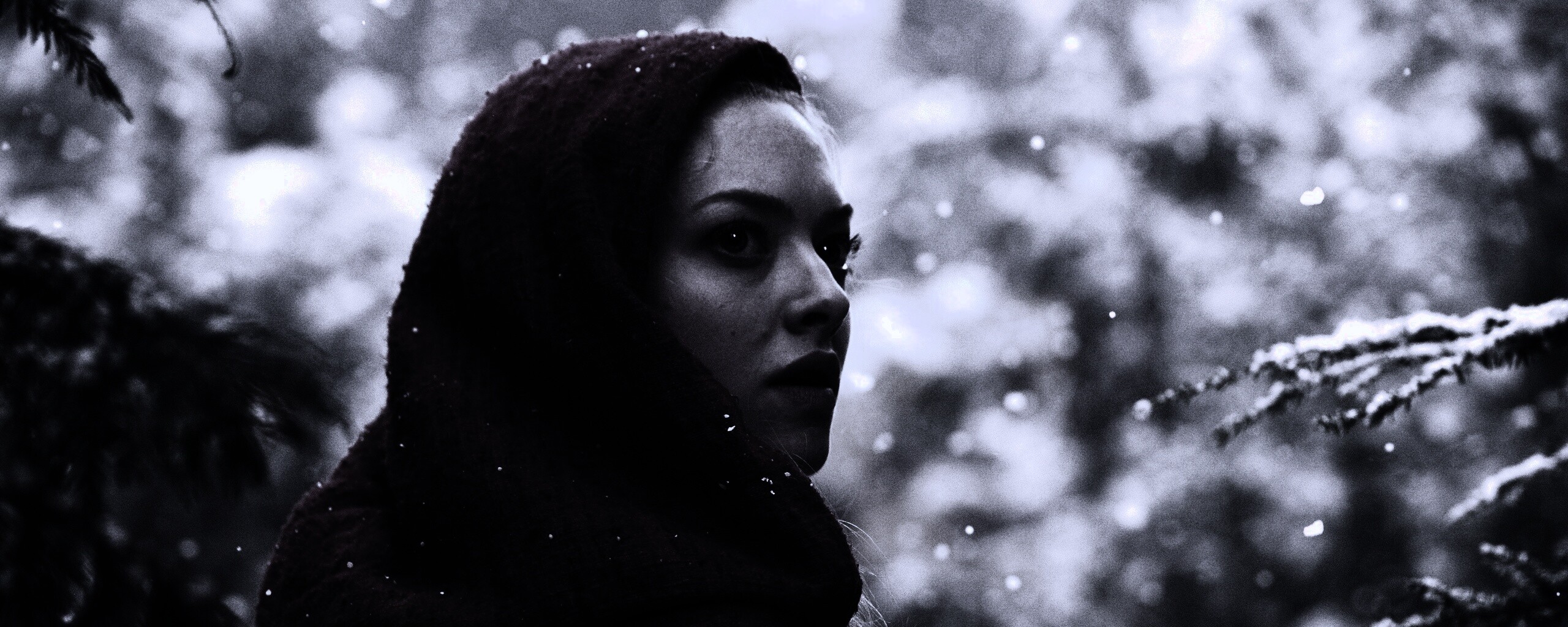 Amanda Seyfried in Red Riding Hood обои