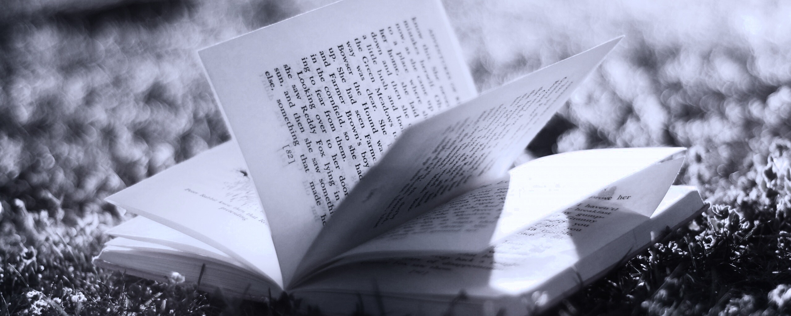 Книга в нежном свете обои