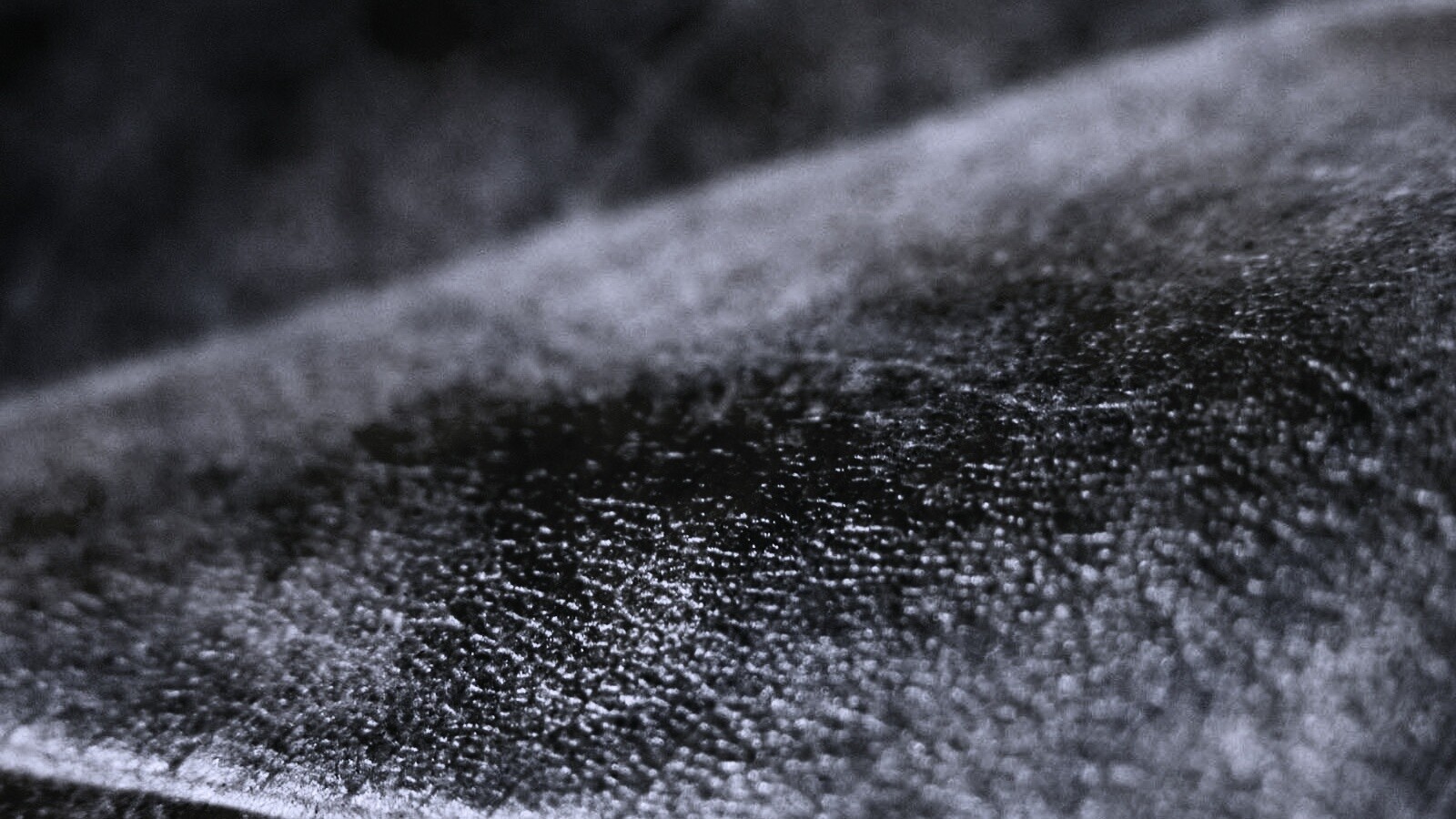 Повехность листа обои