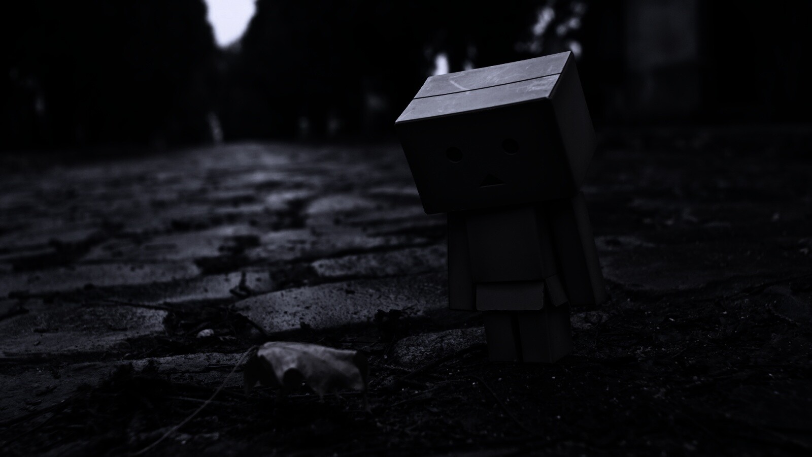 Danbo и первый осенний лист обои