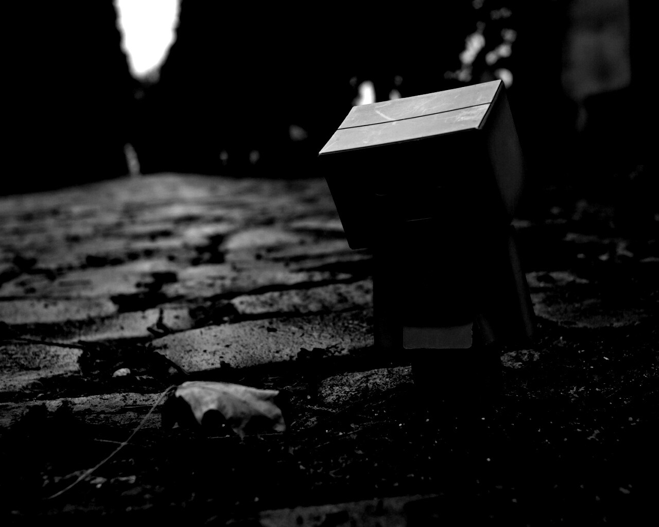 Danbo и первый осенний лист обои